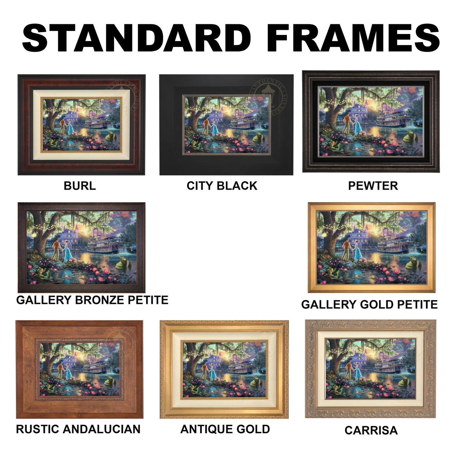 Disney The Princess and the Frog Standard Frames