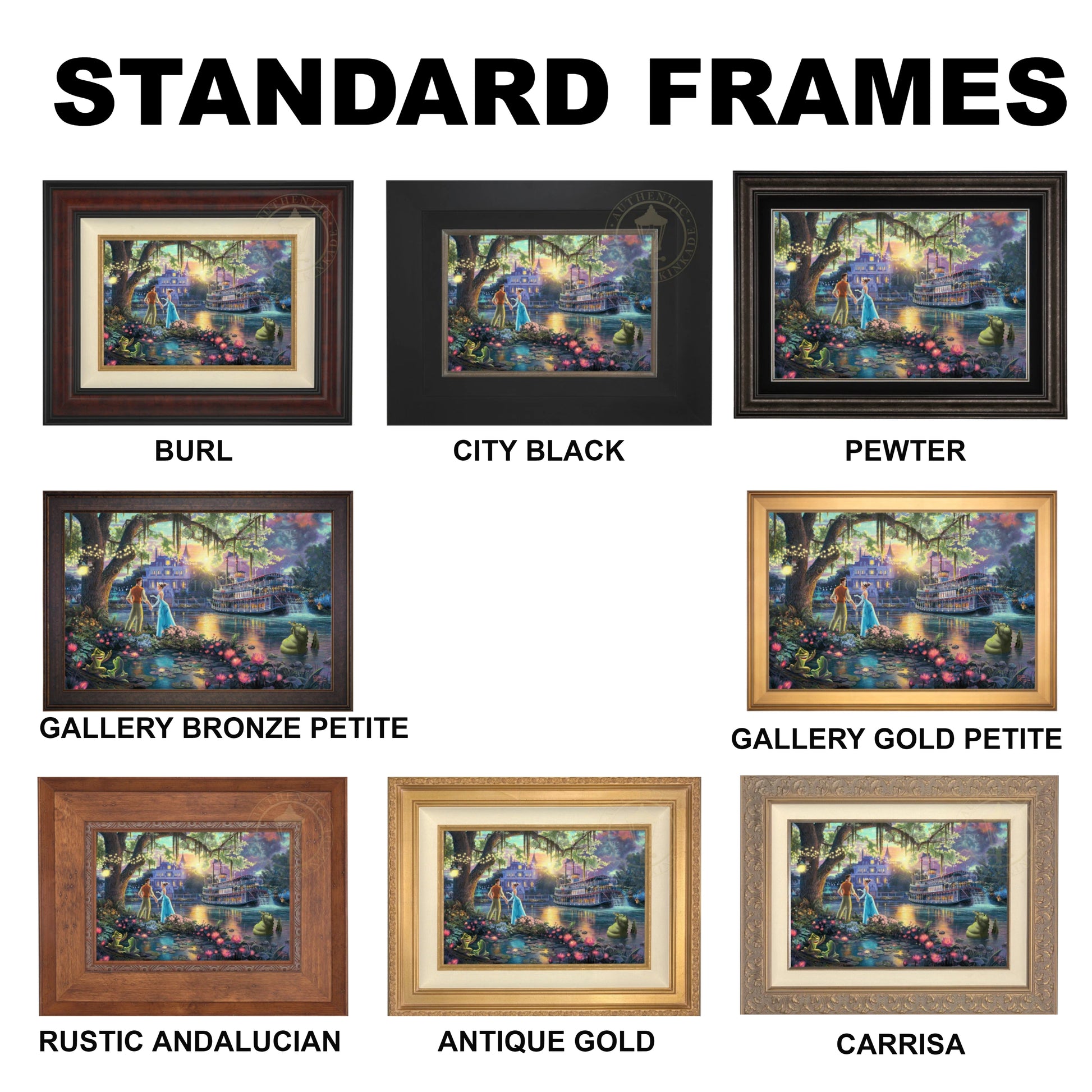 Disney The Princess and the Frog Standard Frames