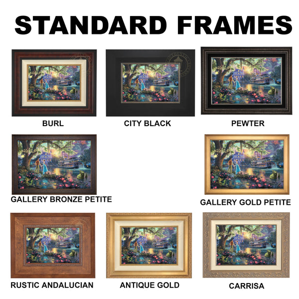 Disney The Princess and the Frog Standard Frames