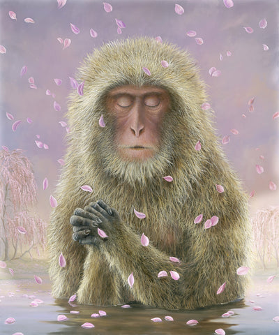 The Prayer by Robert Bissell features a monkey in focused prayer falling cherry blossoms.
