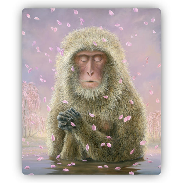 The Prayer by Robert Bissell features a monkey in focused prayer falling cherry blossoms.