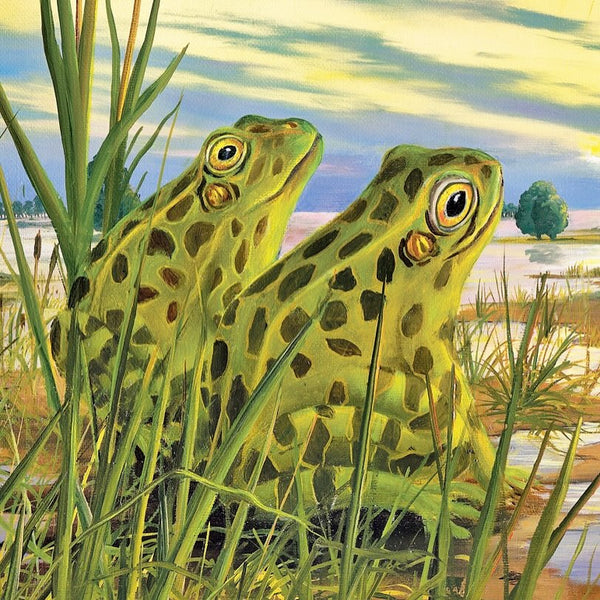 The Resolve by Robert Bissell features a bunny rabbit in discussion with a pair of frogs.