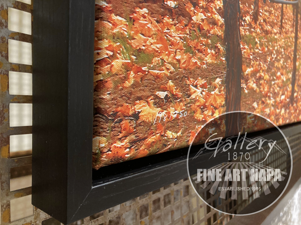 Framing - Under the Canopy Fine Art Photography print on canvas by Dennis Hogan