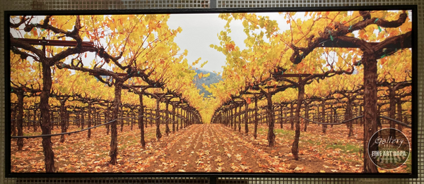 Framing - Under the Canopy Fine Art Photography print on canvas by Dennis Hogan
