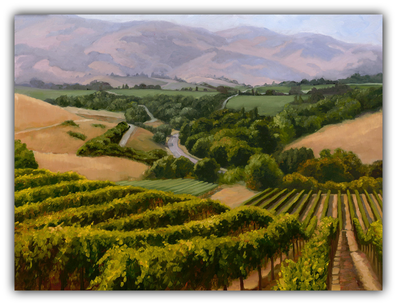 Vintner's View - Limited Edition artwork by Susan Hoehn