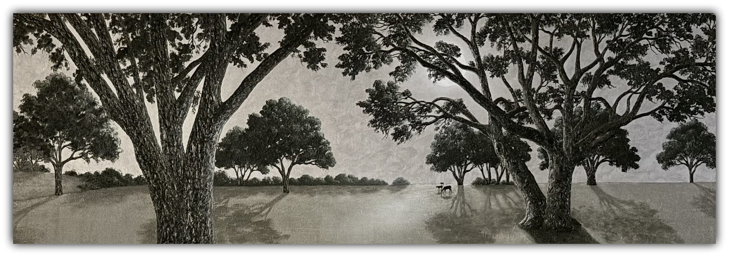 A Walk in the Park by Patrick O'Rourke