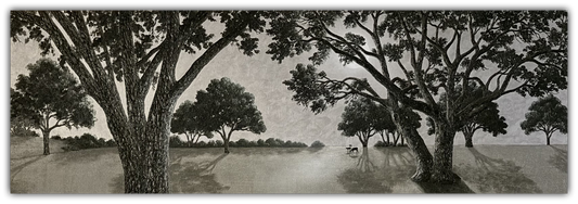 A Walk in the Park by Patrick O'Rourke