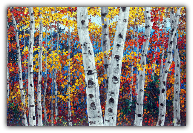 Aspen Confetti limited edition giclée on canvas by Jennifer Vranes featuring white aspen trunks and vibrant fall leaves in yellow, orange, and red.