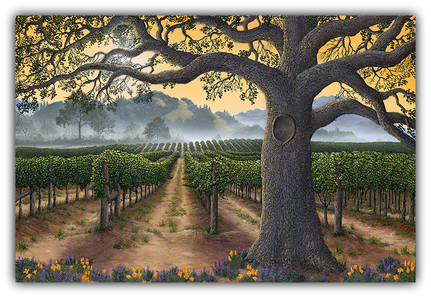 California Gold - Bold, Smooth & Complex by Patrick O'Rourke