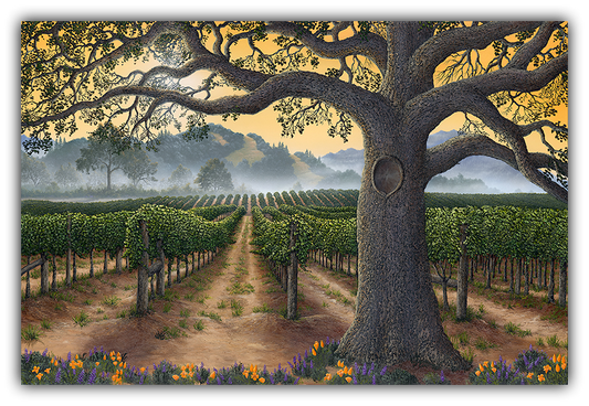 California Gold - Bold, Smooth & Complex by Patrick O'Rourke