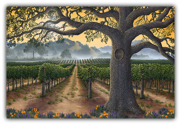 California Gold - Bold, Smooth & Complex by Patrick O'Rourke