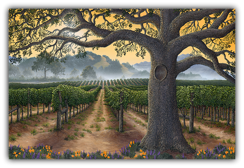 California Gold - Bold, Smooth & Complex by Patrick O'Rourke