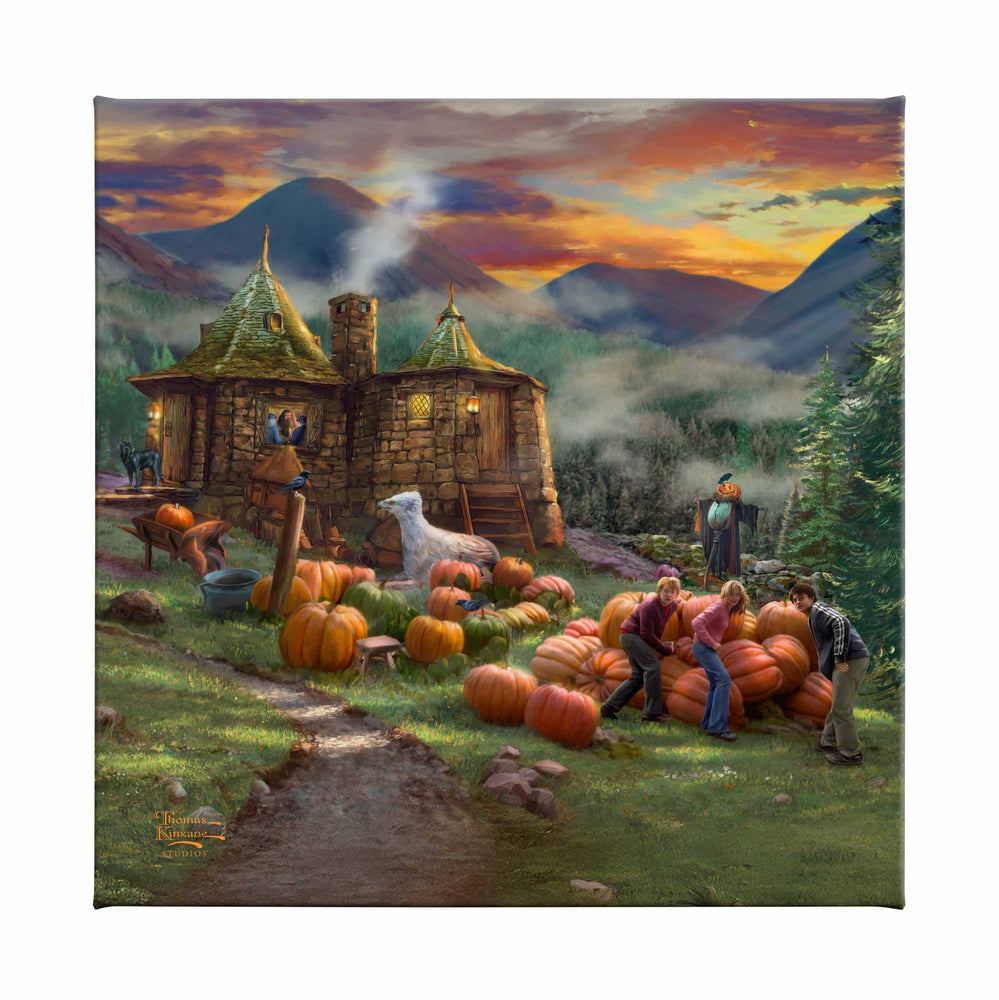 Harry Potter™ Hagrid's Hut - Gallery Wrapped Canvas - 14 x 14 gallery wrapped canvas
