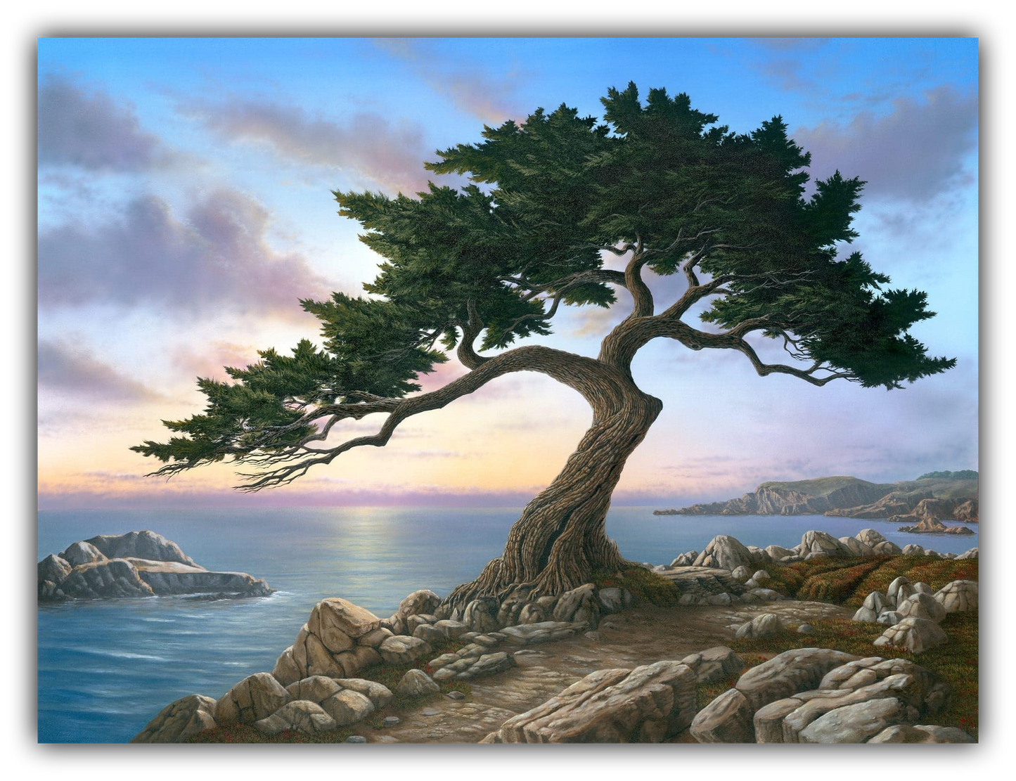 Painting of a Monterey cypress tree on rocks with a scenic California coast and sky background