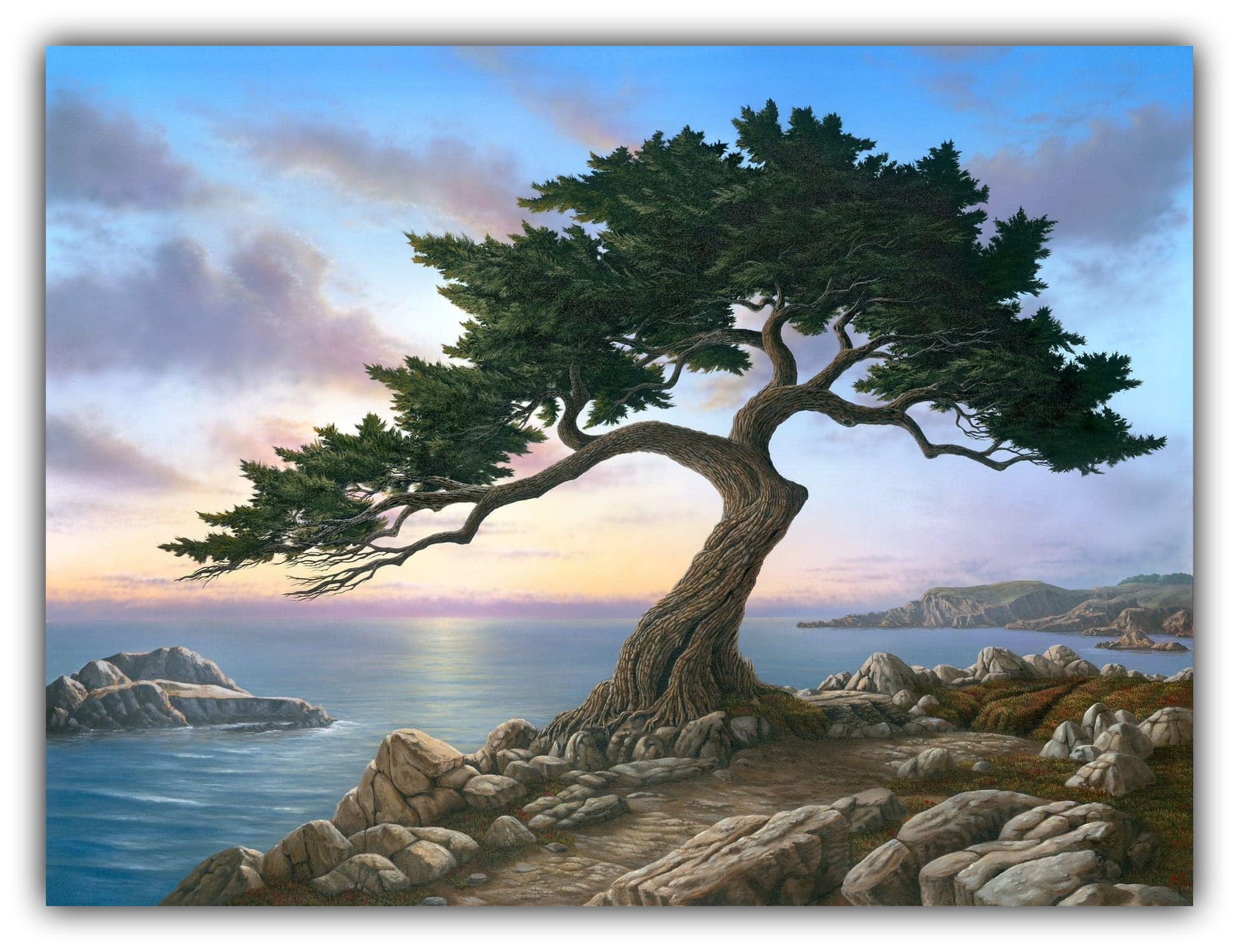 Painting of a Monterey cypress tree on rocks with a scenic California coast and sky background