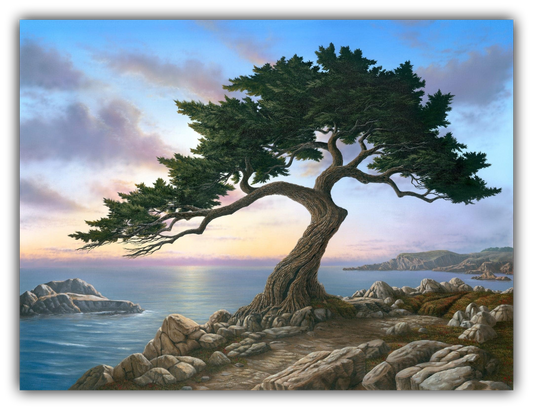 Painting of a Monterey cypress tree on rocks with a scenic California coast and sky background