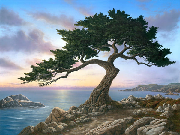 Painting of a Monterey cypress tree on rocks with a scenic California coast and sky background