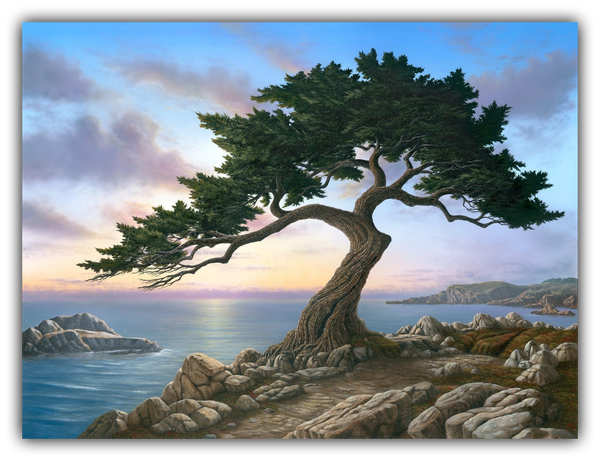 Painting of a Monterey cypress tree on rocks with a scenic California coast and sky background