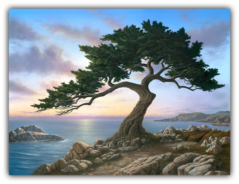 Painting of a Monterey cypress tree on rocks with a scenic California coast and sky background
