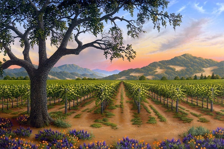 Spring Bouquet Napa Valley vineyard scene with oak tree and wildflowers