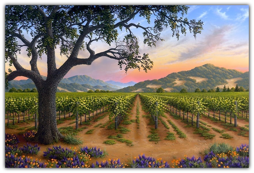 Spring Bouquet in the Napa Valley wine country artwork by Patrick O'Rourke