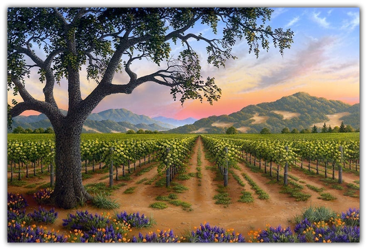 Spring Bouquet in the Napa Valley wine country artwork by Patrick O'Rourke