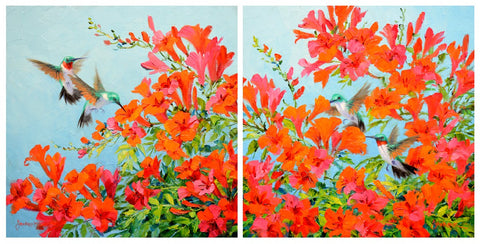 Hummingbird Diptych 10x10" Cradled Panel Original Oils by Mikki Senkarik