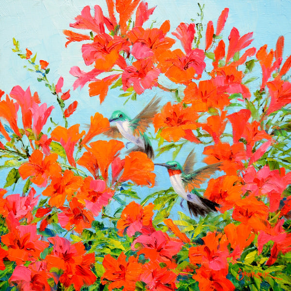 Hummingbird Diptych 10x10" Cradled Panel Original Oils by Mikki Senkarik