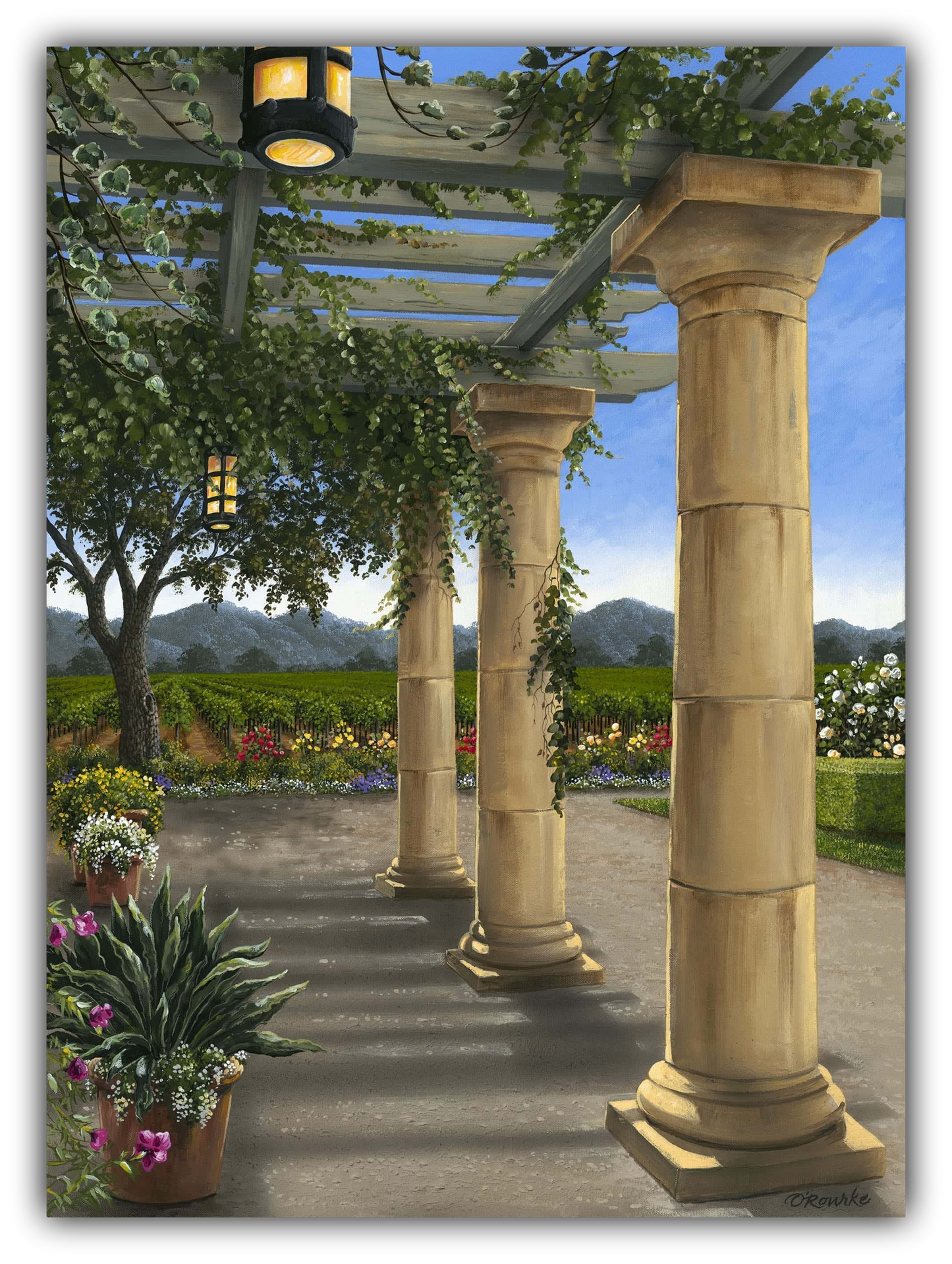 Vineyard Garden by Patrick O'Rourke