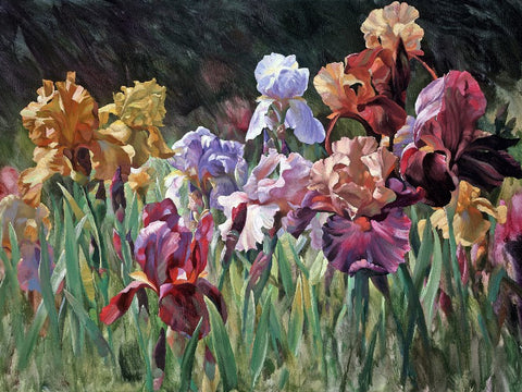 Iris Forever by Leon Roulette available at Gallery 1870