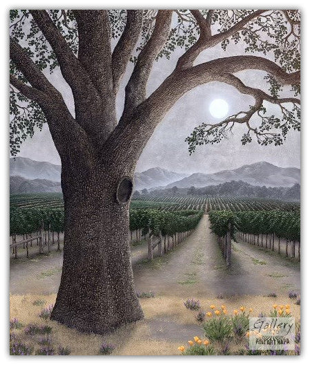 Silver Oak Ambiance by Patrick O'Rourke