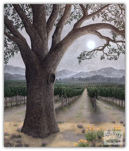 Silver Oak Ambiance by Patrick O'Rourke