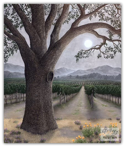 Silver Oak Ambiance by Patrick O'Rourke