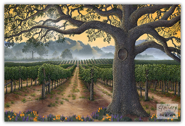 California Gold - Bold Smooth & Complex by Patrick O'Rourke