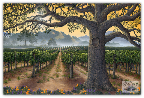 California Gold - Bold Smooth & Complex by Patrick O'Rourke