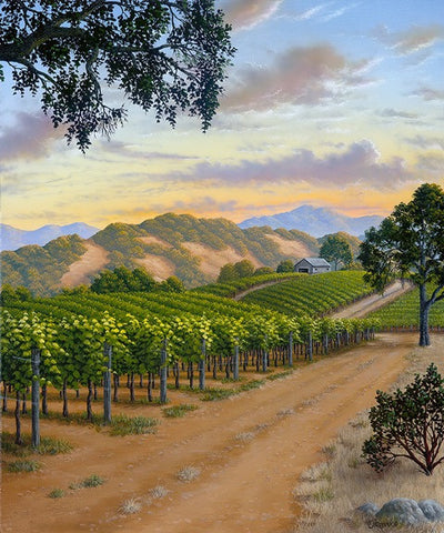 Country Vineyard - Limited Edition