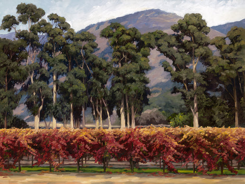 Eucalyptus Row by Susan Hoehn