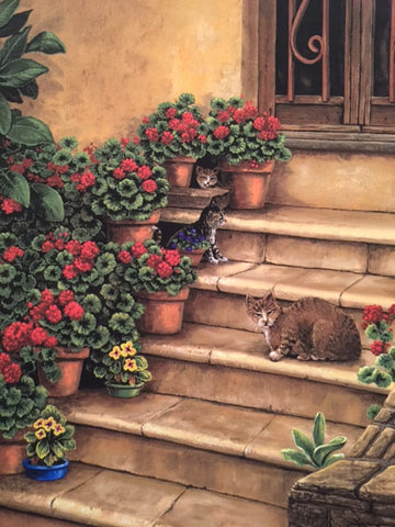 Feral Cats of Tuscany