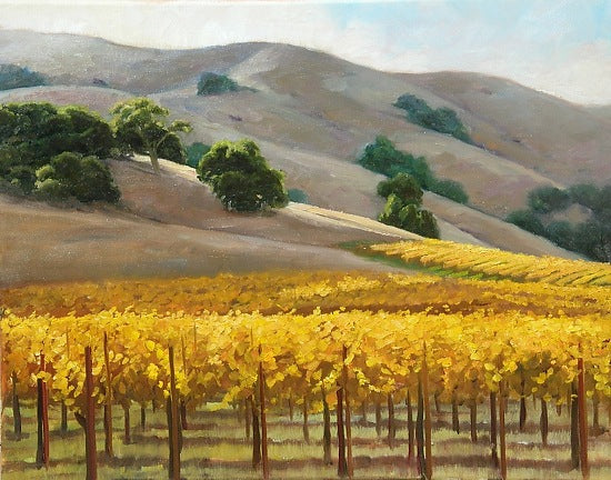 Golden Sonoma Vines by Susan Hoehn