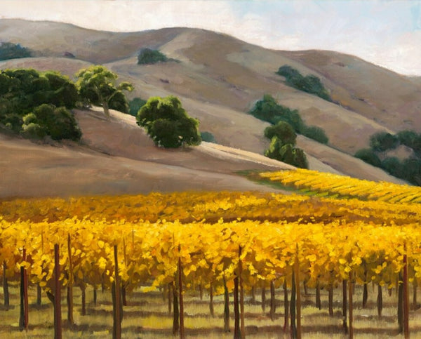 Golden Sonoma Vines by Susan Hoehn