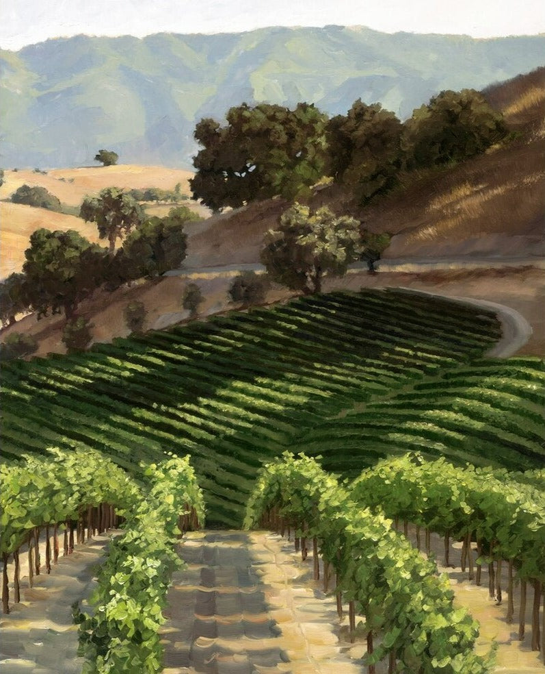 Hillside Vineyard by Susan Hoehn