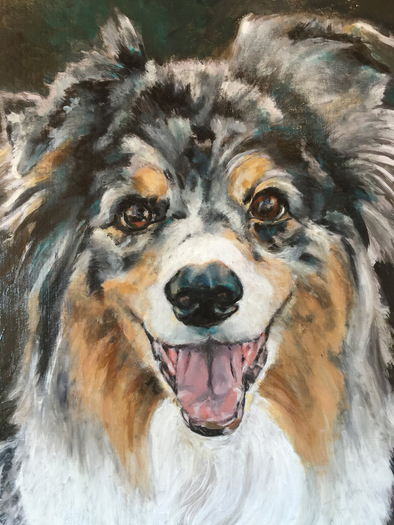 Australian Shepherd - "Jet Blue" Original