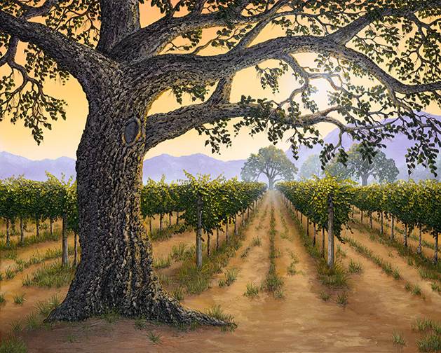 Napa Valley Legacy - A Hint of Oak by Patrick O'Rourke