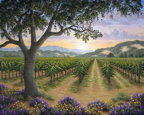 Napa Valley Splendor - Limited Edition
