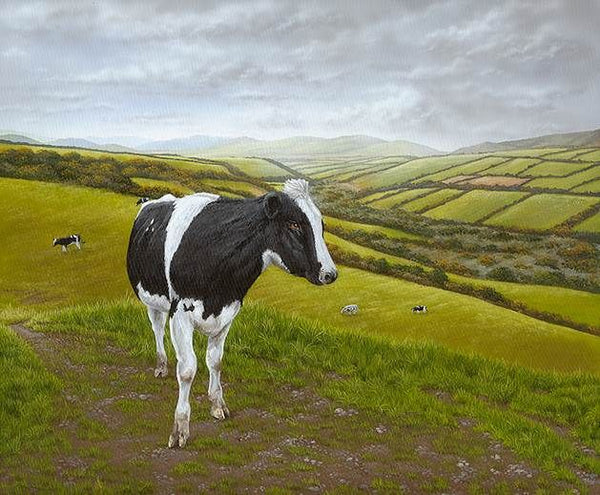 Cows in Limerick Ireland by Patrick O'Rourke