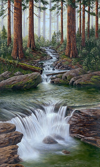 Redwood Creek limited edition canvas giclee print by Patrick O'Rourke