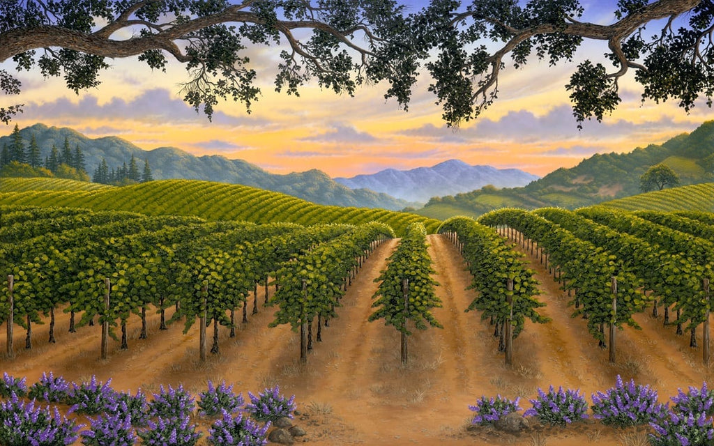 Rolling Hills of Napa by Patrick O'Rourke