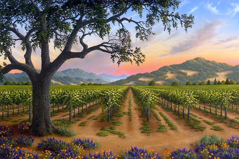 Spring Bouquet in the Napa Valley - canvas giclée