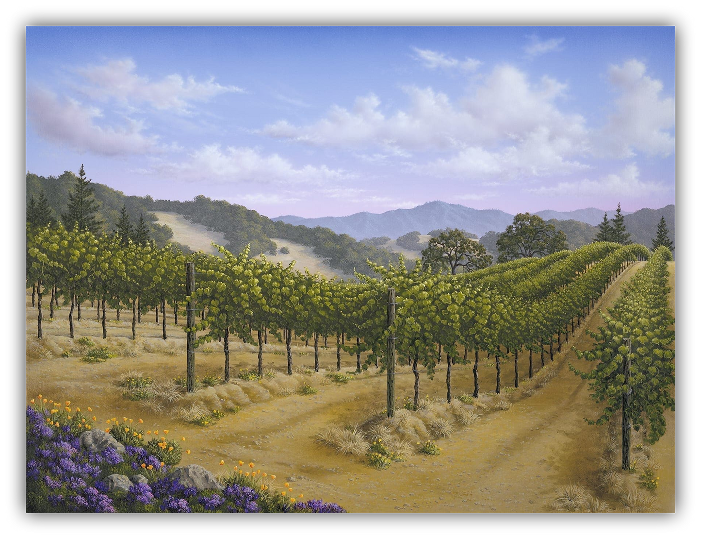 Spring Vista by Patrick O'Rourke