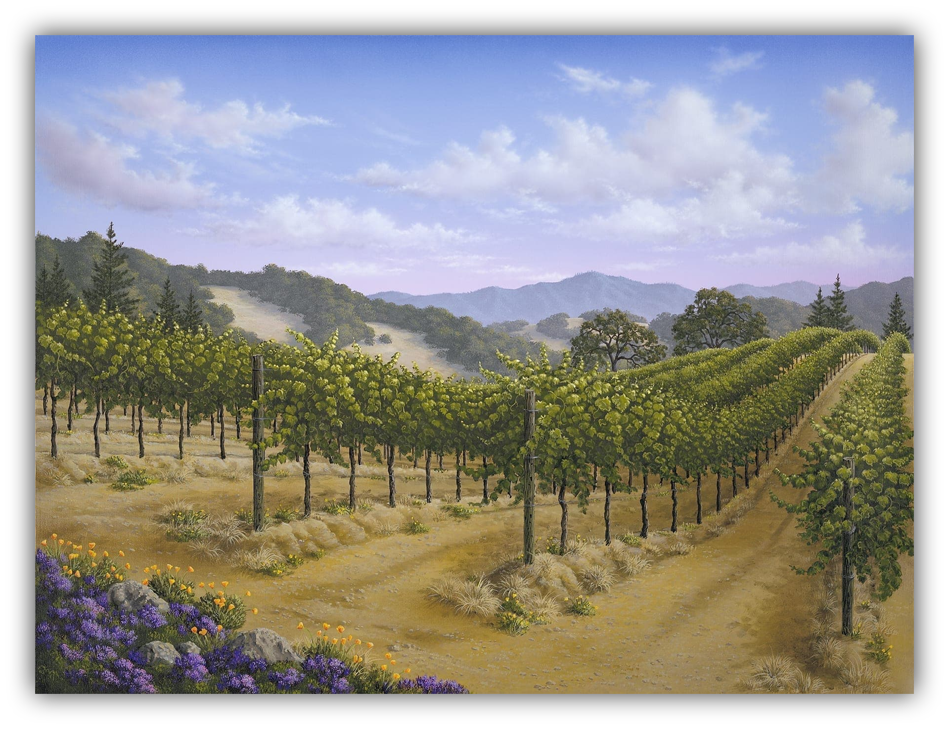 Spring Vista by Patrick O'Rourke